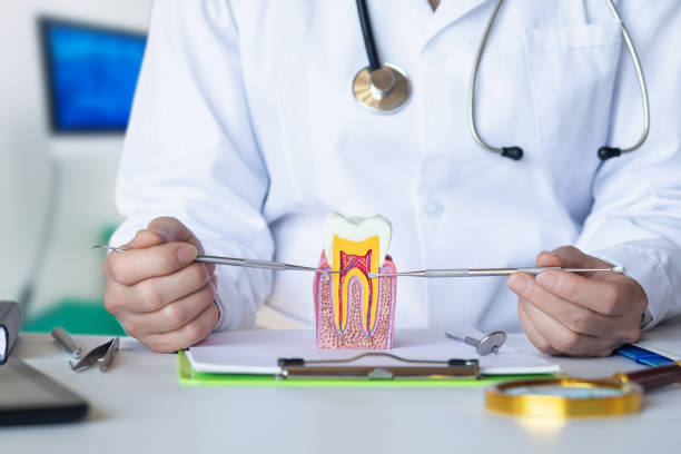 Best Broken or Cracked Tooth Emergency Dentist in Aumsville, OR